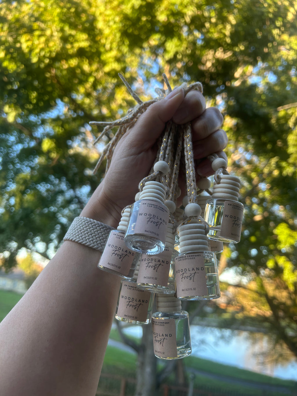 Woodland Frost | Car Diffuser